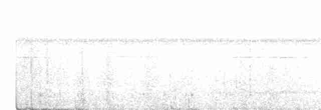 White-tailed Trogon - ML457592401