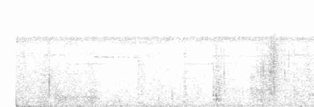 White-tailed Trogon - ML457592411