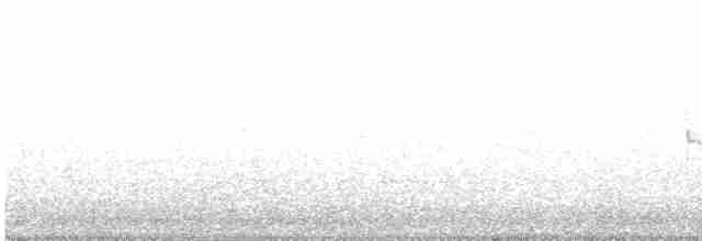 Kaya Çıtkuşu - ML457636581