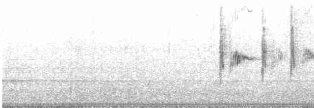 Kaya Çıtkuşu - ML457638481
