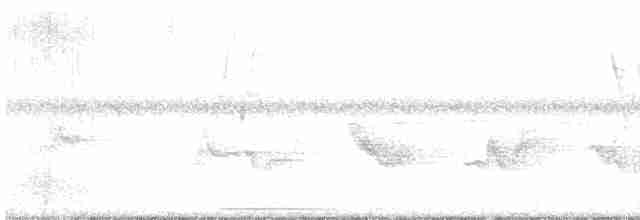 Чернокрылая пиранга - ML457648751