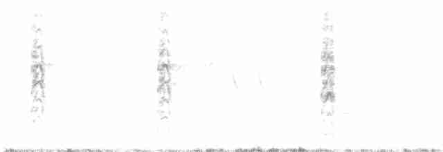 pygmérørdrum - ML457671011