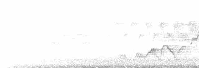 lesňáček černobílý - ML457674401