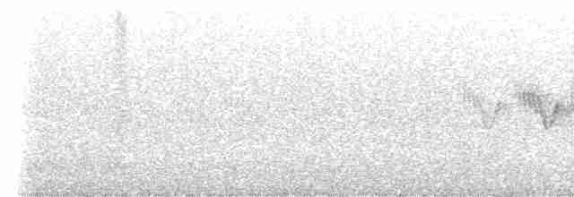 lesňáček modropláštíkový - ML457691041