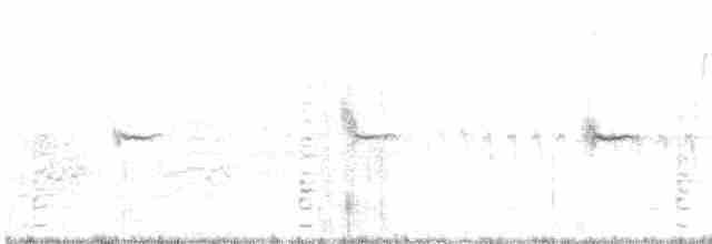 Common Gallinule - ML457695321