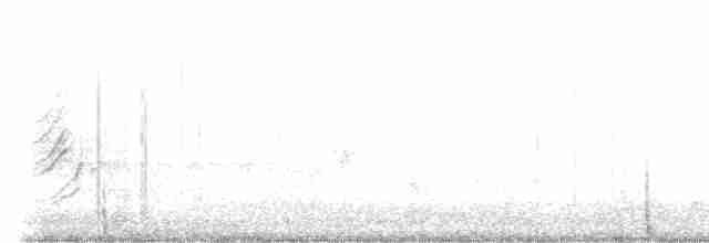 Black-throated Gray Warbler - ML457764681
