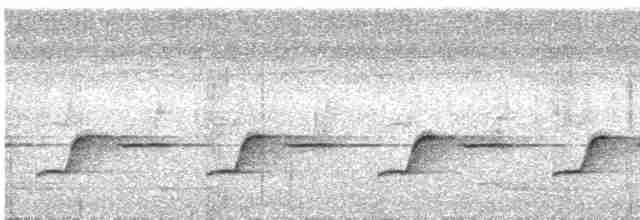Troglodyte balafré - ML457802121