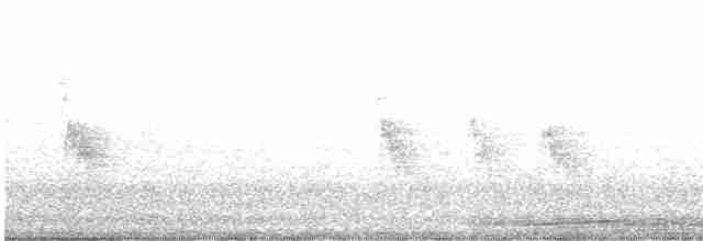 Spot-winged Pigeon - ML457848591