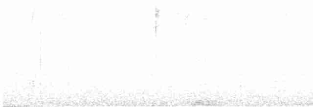 Зозуля-дронго азійська - ML457959191