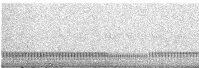 Eurasian Nightjar - ML458014181