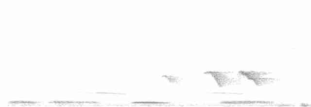 Ak Kaşlı Kasapkuşu (ripleyi) - ML458127111