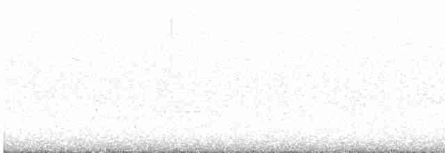 Chinese Bamboo-Partridge - ML458127301