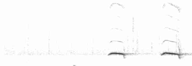 Weißflecken-Ameisenpitta - ML458146751