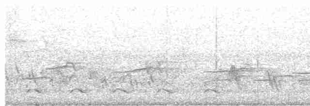 Белоголовый орлан - ML458174711