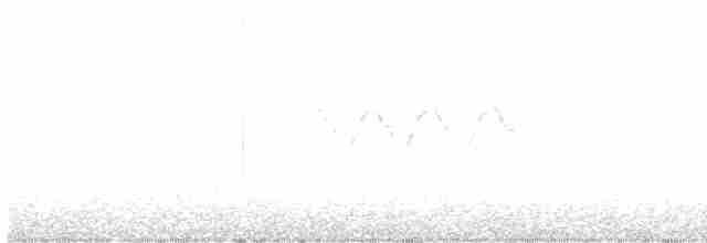 Yellow-rumped Warbler - ML458202081