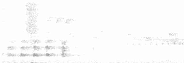 Орлан-білохвіст - ML458256181