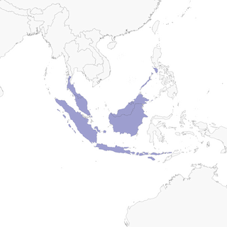 Distribution of the&nbsp;Rufous-backed Dwarf-Kingfisher - Range Map