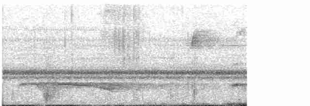 Great Eared-Nightjar - ML45840251