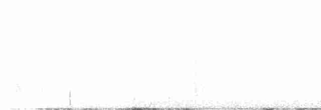Black-throated Gray Warbler - ML458451401