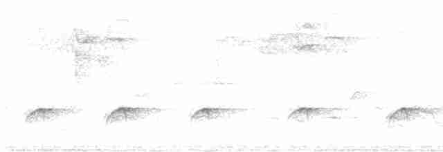 Eurasian Wren (Eurasian) - ML458459321