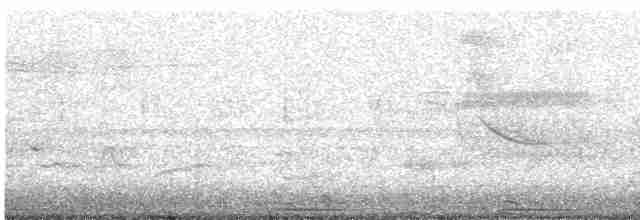 Oriole des vergers - ML458482191