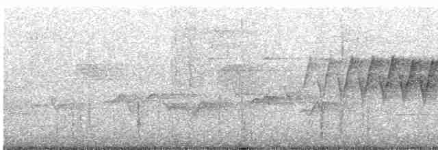 Cerulean Warbler - ML458484321