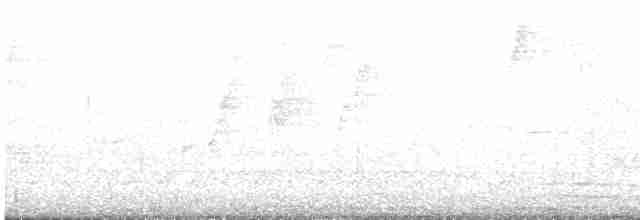 Cerulean Warbler - ML458484331