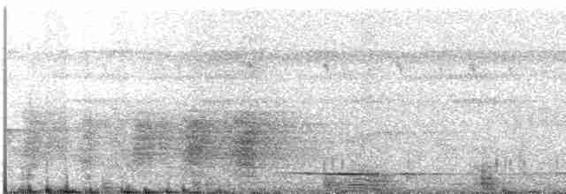 svartskrike (aterrimus) - ML458538911