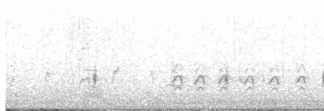 tyranovec olšový/vrbový - ML458589961