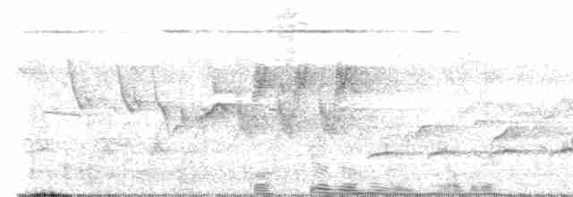 Вилохвостая дронговая кукушка - ML458710371