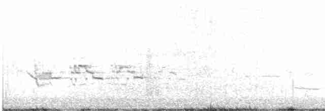 Münzevi Bülbül Ardıcı - ML458782401