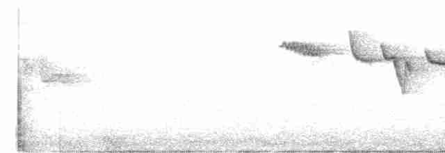 アメリカキバシリ（pernigra） - ML458824421