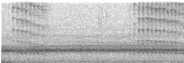 Тиран-інка буроголовий - ML458938751