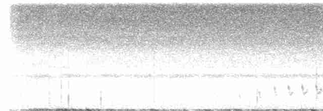 Buff-collared Nightjar - ML458977611