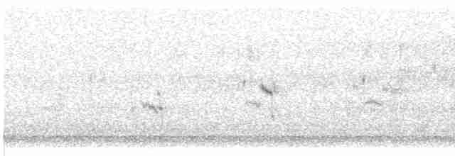 オバシギ属（トウネンの種） - ML459000521