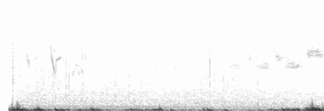 Black-throated Gray Warbler - ML459096221