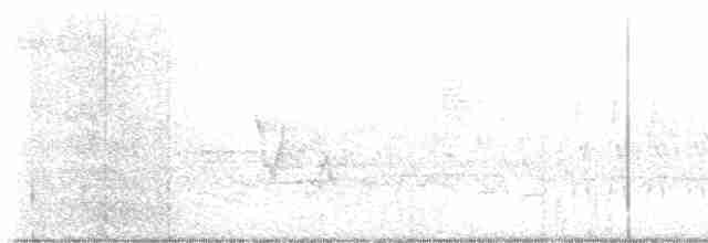 Cerulean Warbler - ML459134351