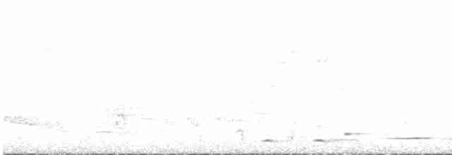 Rufous-and-white Wren - ML459151181