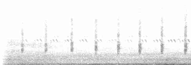 Rascón de Ridgway (levipes) - ML459190081
