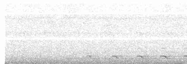 trogon zelenohřbetý - ML459275661