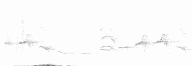 Amazonien-Strichelameisenschlüpfer - ML459332531