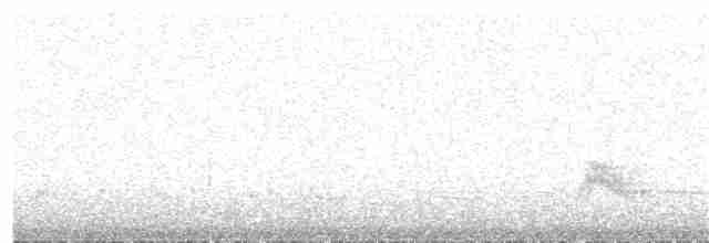 Weißkronen-Olivtyrann - ML45933571