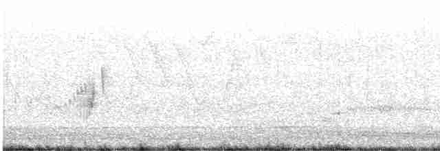 tyranovec vrbový - ML459407141