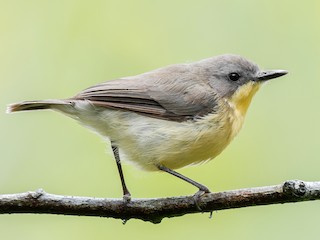 Yekaterina Gusevaning filmlardagi jinsiy aloqa sahnalari