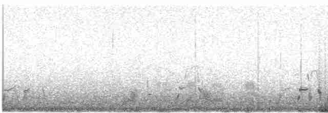 Lichtenstein's Sandgrouse (Lichtenstein's) - ML459468961