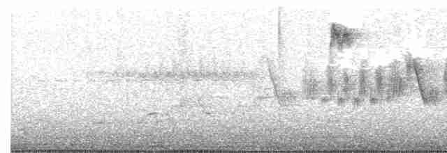 Black-throated Gray Warbler - ML459561031