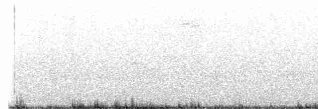 Oriole des vergers - ML459589321
