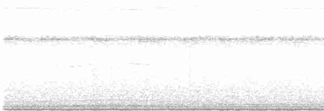 Wedge-tailed Shearwater - ML459633451