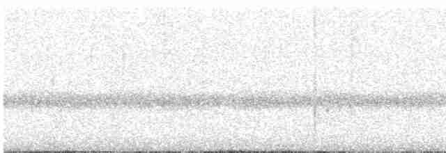 Batı Amerika Sinekkapanı (occidentalis/hellmayri) - ML459662781