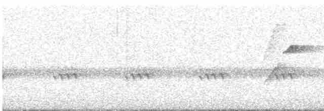 Batı Amerika Sinekkapanı (occidentalis/hellmayri) - ML459662911